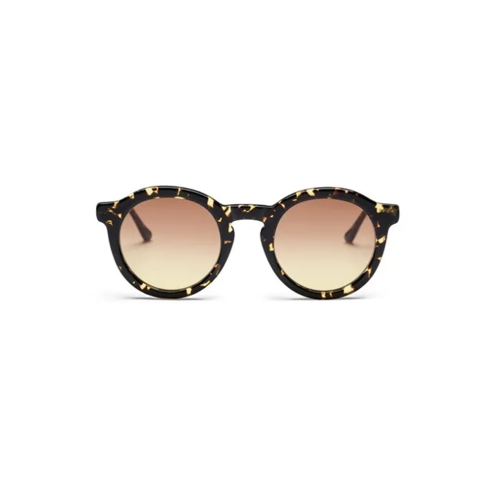Aurel Pop Tortoise