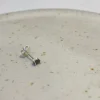 Twilight Silver Earring